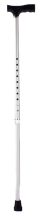 Walking stick-