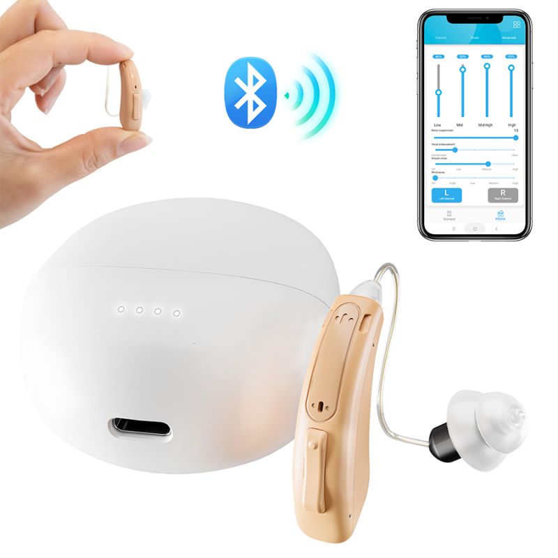 Hearing aid-5118DL-