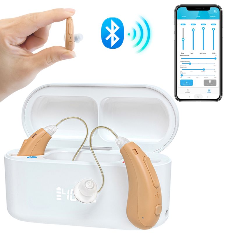 Hearing aid-5120L-
