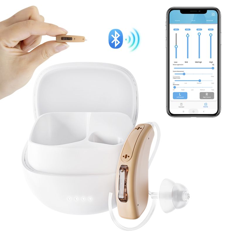 Hearing aid-5116DL-