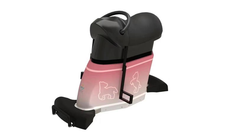 虛擬與現實馬術動態康復訓練系統-