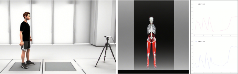 基于無標記運動捕獲的人體下肢生物力學分析系統-